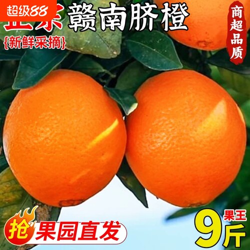 正宗赣南脐橙当季新鲜橙子应季甜橙多汁薄皮大果寻乌脐橙果园年货