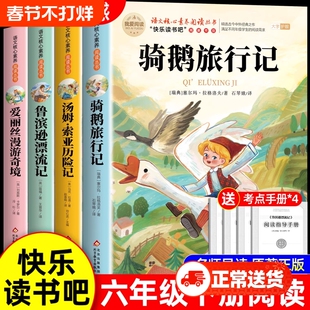 4册鲁滨逊漂流记六年级下册必读正版的课外书快乐读书吧6阅读书籍汤姆索亚历险记骑鹅旅行记爱丽丝漫游奇境宾孙童年书目童话故事