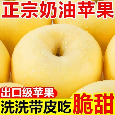 山东黄金奶油富士苹果当季新鲜水果脆甜树上熟冰糖心整箱包邮现摘