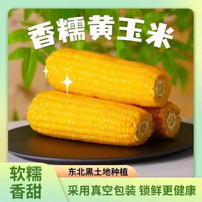 25年头茬黄糯玉米真空独立包装产地直发黑土种植加热即食粘糯玉米