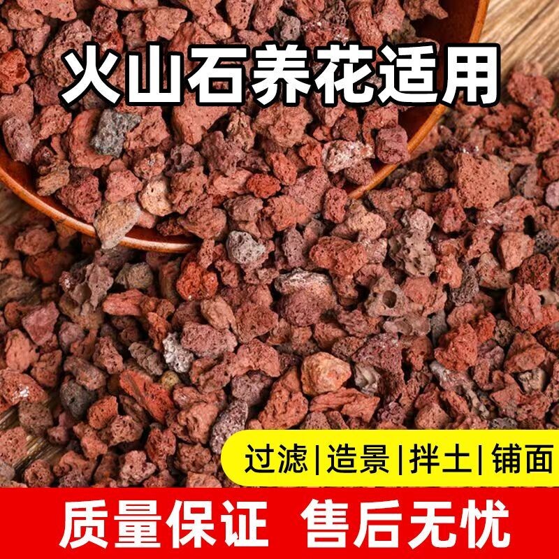 精筛天然火山石铺面兰花专用拌土火山岩颗粒高温灭菌多肉专用土