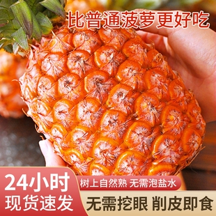 海南金钻凤梨新鲜水果9斤当季 粉色风梨香水菠萝特产大果无眼整箱