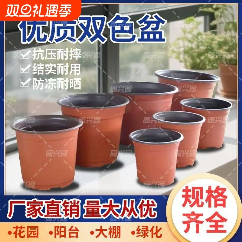 加厚双色盆草莓多肉大号花盆塑料营养钵白色扦插育苗种植阳台豆芽