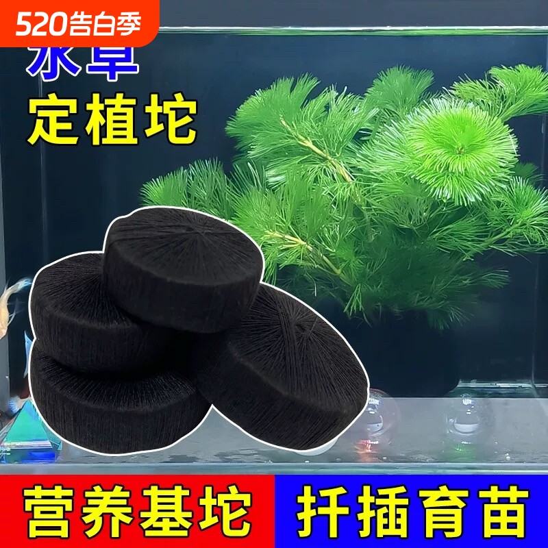 水草定植坨基泥坨坨泥底坨扦插DIY自作草坨营养底座生态