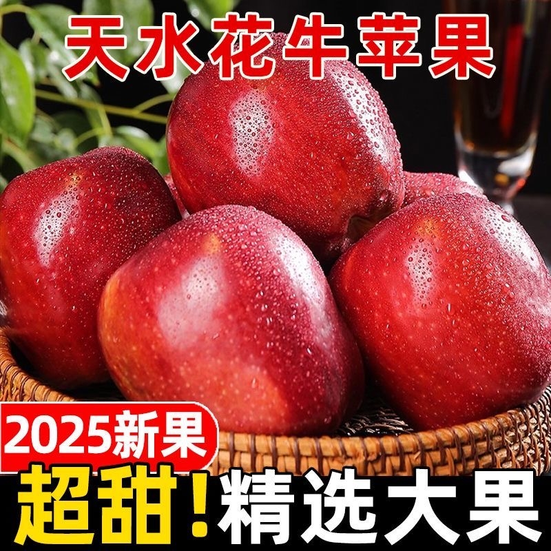 正宗甘肃天水花牛苹果新鲜蛇果小孩老人粉面沙甜水果宝宝辅食脆甜
