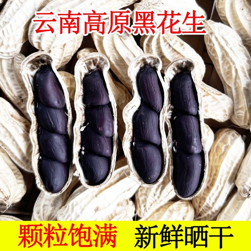 富硒黑花生带壳2025云南普洱特产晒干生熟花生米新货黑皮花生米