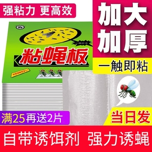 苍蝇贴强力粘苍蝇纸粘蝇板药沾蚊杀手捕捉器灭蝇子神器一扫光家用
