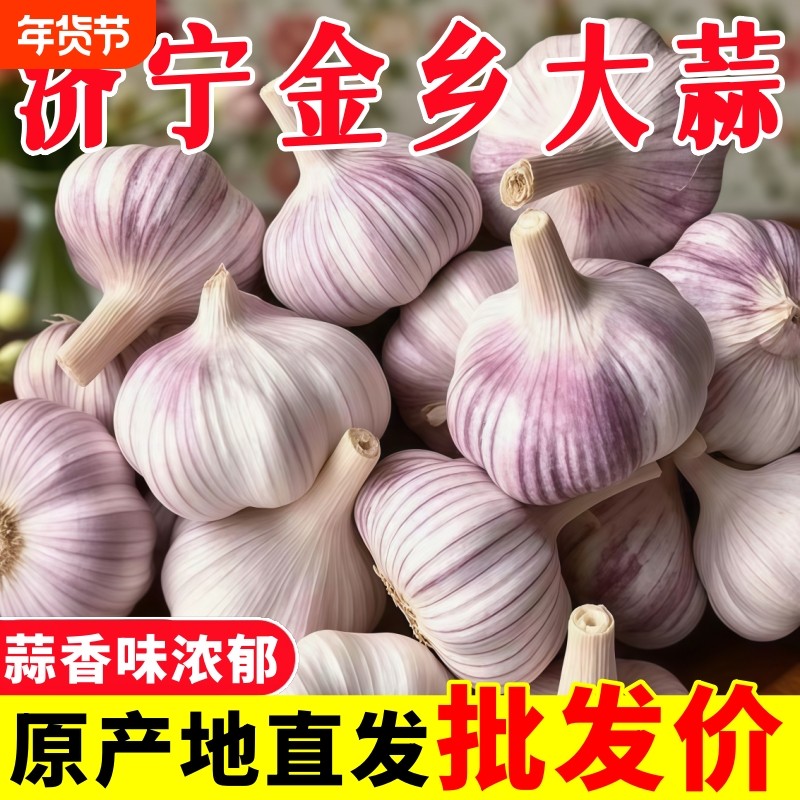 金乡大蒜金乡紫皮大蒜新干蒜子新鲜红皮大蒜头干蒜头干蒜批发价,水产肉类/新鲜蔬果/熟食,大蒜,淘宝优惠券,粉丝福利购,淘宝优惠卷