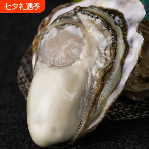 鲜活生蚝10斤特大号包邮新鲜海鲜牡蛎海蛎子水产贝类海鲜批发
