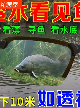 水深10米直接看到鱼钓鱼射鱼神器