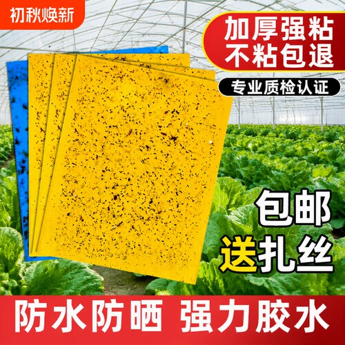 黄板双面粘虫板粘力超强防水耐用