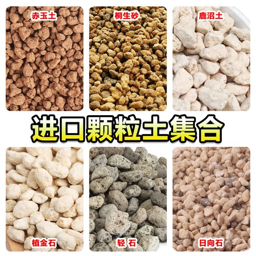 进口颗粒基质多肉兰花专用营养土