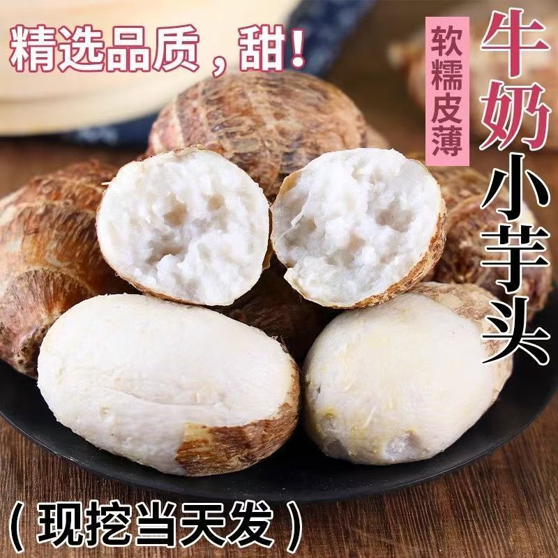 新鲜现挖牛奶毛芋头小芋头农家自种现挖小竽头带泥发货整箱包邮