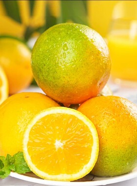 当季新鲜头茬夏橙水果多汁现摘现发精选橙子薄皮手剥橙甜橙新货！