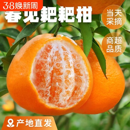 四川正宗春见耙耙柑甜蜜多汁现采直发儿童孕妇时令水果桔子补维c