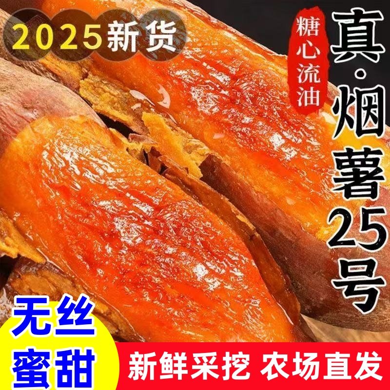 烟薯25号现挖甜蜜流油