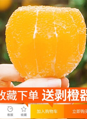 一级大果正宗麻阳冰糖橙10斤包邮新鲜水果橙子当季整箱手剥甜橙