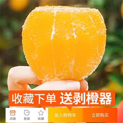 一级大果正宗麻阳冰糖橙10斤包邮新鲜水果橙子当季整箱手剥甜橙