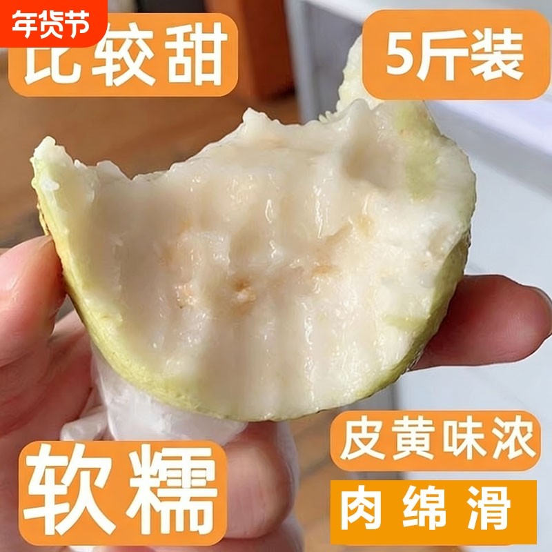 福建软心胭脂红芭乐石榴软糯甜新鲜现摘应季水果,水产肉类/新鲜蔬果/熟食,番石榴/芭乐,淘宝优惠券,粉丝福利购,淘宝优惠卷