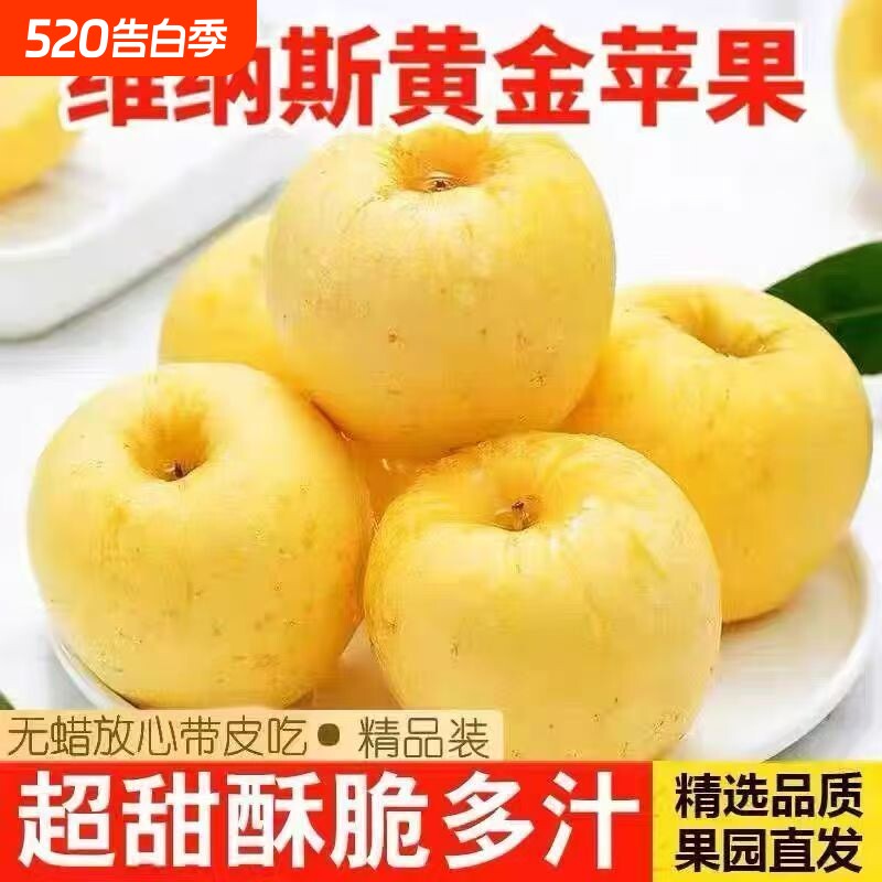 山东维纳斯黄金苹果脆甜冰糖心非黄元帅牛奶油富士丑新鲜现摘苹果