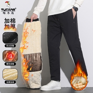 男款 外穿防风东北羊羔绒裤 冬季 冲锋裤 子男 加绒加厚男士 啄木鸟棉裤