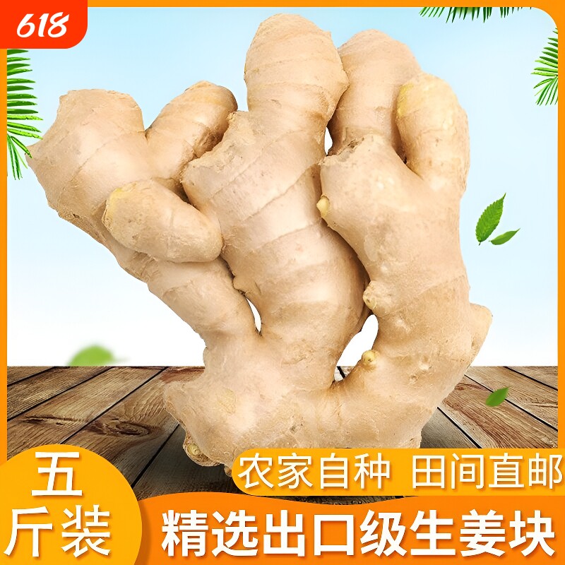 山东大姜生姜老姜优质月子姜风干姜现挖鲜姜新鲜老黄姜包邮食用