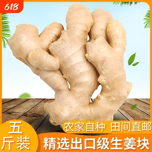 山东大姜生姜老姜优质月子姜风干姜现挖鲜姜新鲜老黄姜包邮食用