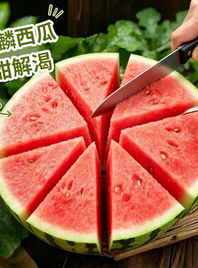 正宗8424麒麟瓜现摘冰淇淋大西瓜