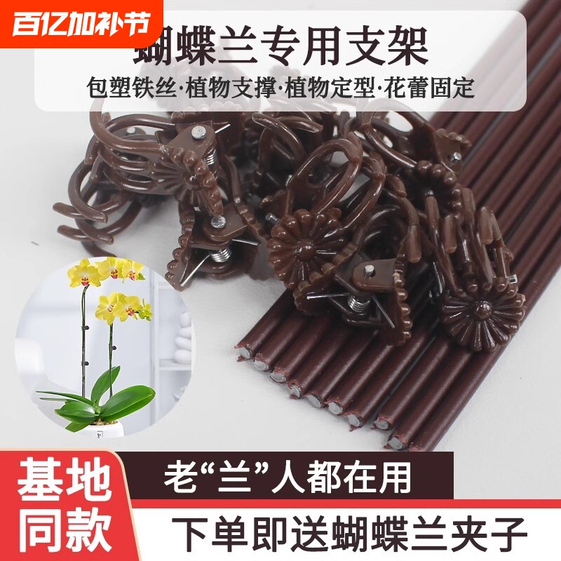 蝴蝶兰花支架兰夹子支撑杆植物爬藤花卉固定专用铁丝支架园艺造型