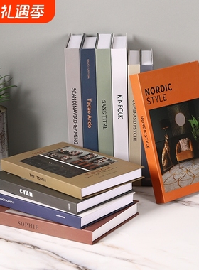 ins简约家居仿真书模型道具摆件