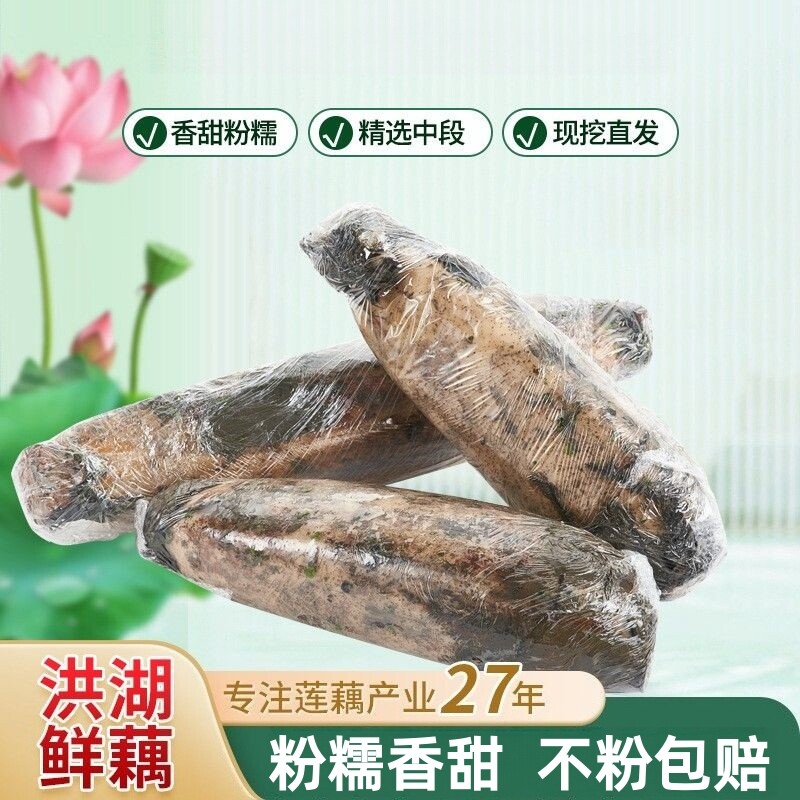 【不粉包赔】正宗洪湖粉藕新鲜现挖现发煲汤莲藕糯米藕糖藕九孔藕
