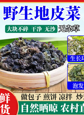 地软地木耳地皮菜干货特产非免洗新鲜干货地衣雷公菌炒野菜蒸包子