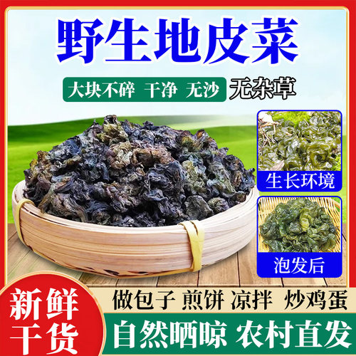 地软地木耳地皮菜干货特产非免洗新鲜地衣雷公菌炒野菜蒸包子野生