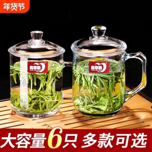 日式耐热玻璃杯家用泡茶杯牛奶带把茶饮杯喝水杯子办公杯子