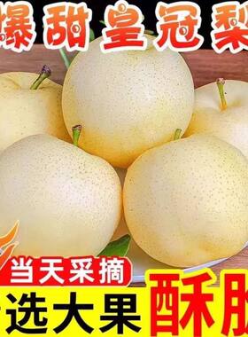 正宗白皇冠梨梨子新鲜当季水果酥脆梨砀山白梨黄金梨精选现摘大果