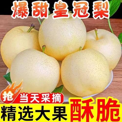 正宗白皇冠梨梨子新鲜当季水果酥脆梨砀山白梨黄金梨精选现摘大果