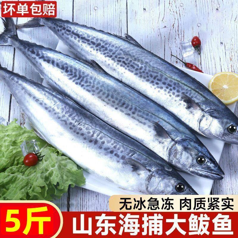 大鲅鱼新鲜鲅鱼冷冻马鲛鱼整条冷冻燕鲅鱼马友鱼海鲜马交鱼批发,水产肉类/新鲜蔬果/熟食,马鲛鱼,淘宝优惠券,粉丝福利购,淘宝优惠卷