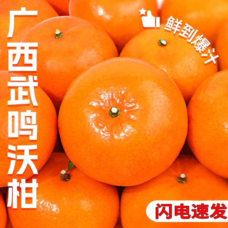 广西武鸣沃柑新鲜桔子现摘现发当季水果蜜果子生鲜自提年货节果园,水产肉类/新鲜蔬果/熟食,桔子,淘宝优惠券,粉丝福利购,淘宝优惠卷