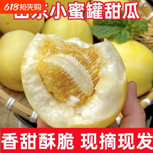 现货2026年山东蜜罐小蜜蜂冰糖脆甜瓜新鲜水果当季时令香瓜甜多汁
