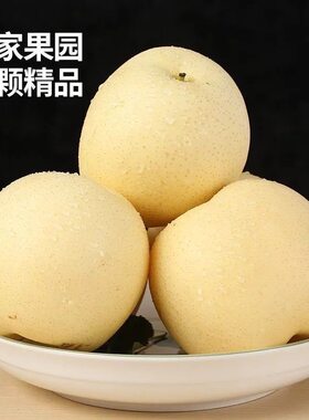 砀山梨白皇冠梨薄皮梨子当季新鲜水果苹果梨批发一整箱