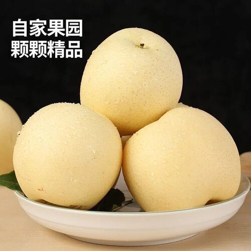 砀山梨白皇冠梨薄皮梨子当季新鲜水果苹果梨批发一整箱