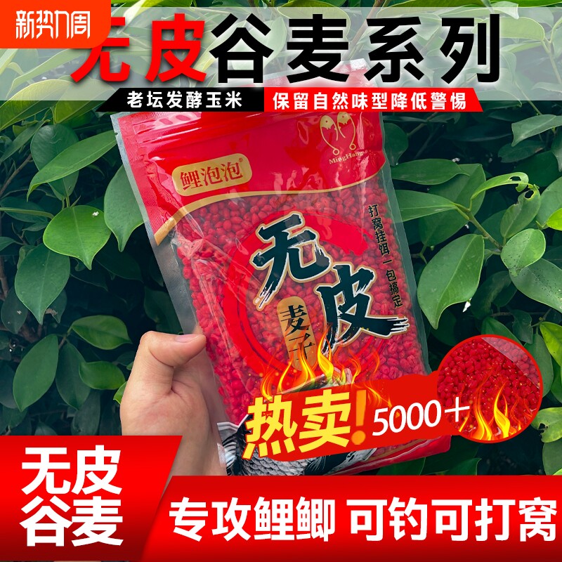 无皮谷麦江河饵料谷麦打窝料高效钓鱼窝料垂钓鲫鲤鱼饵颗粒