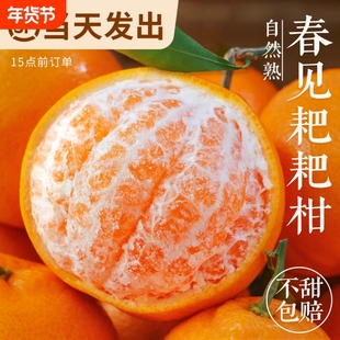 四川春见耙耙柑时令新鲜水果当季正宗丑柑橘子10斤桔子粑粑柑顺丰