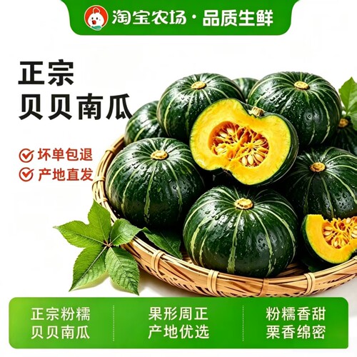 贝贝南瓜炒粉糯正宗贝贝南瓜板栗味孕妇宝宝辅食贝贝南瓜蒸煮专用