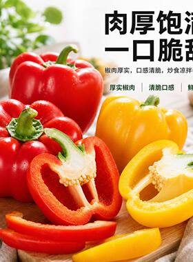 《五彩甜椒》正宗五彩椒彩椒圆椒辣椒灯笼椒红黄绿水果甜椒蔬菜