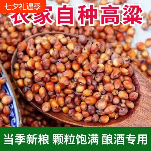 现货带皮红高粱酿醋东北