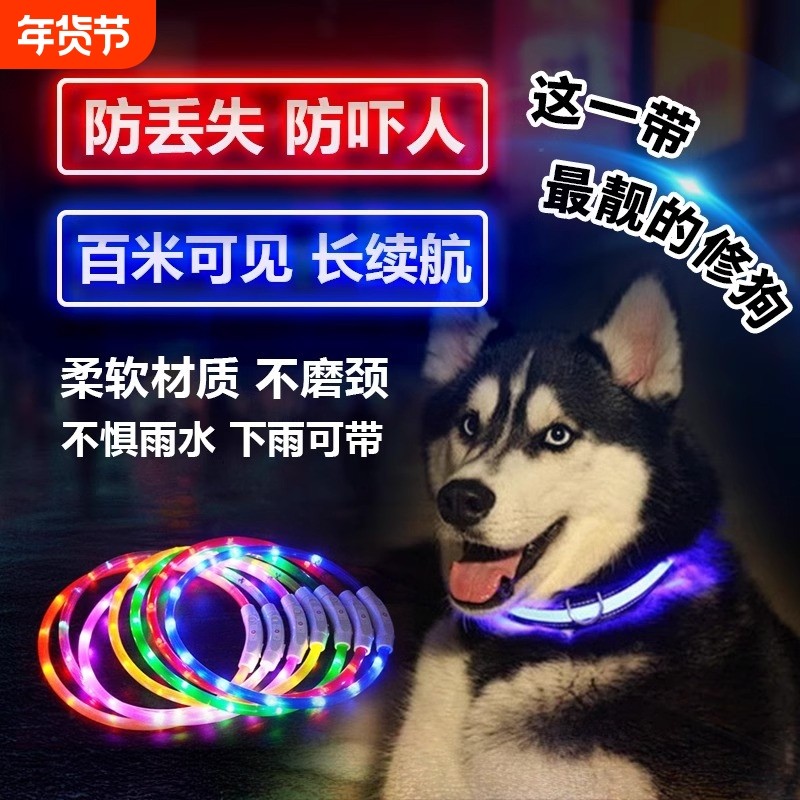 狗狗发光项圈夜间遛狗夜光夜行灯大小型犬防走失带灯充电宠物脖圈