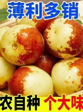 商超供货品质大荔冬枣