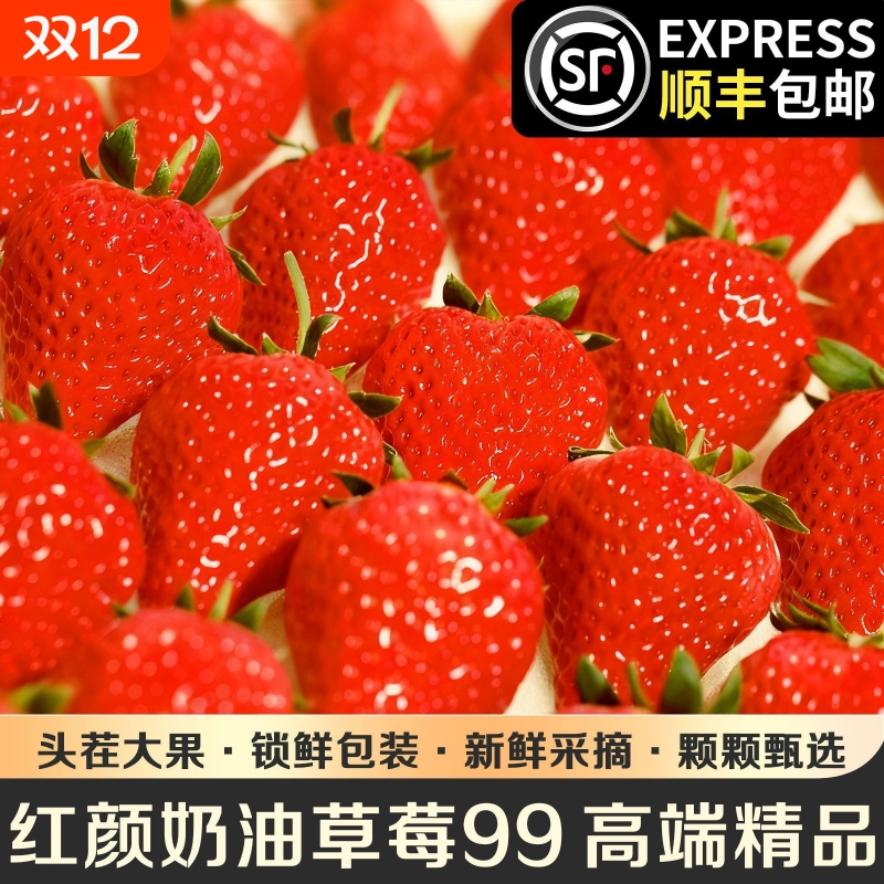 抢鲜99草莓红颜牛奶新鲜现摘水果当季整箱孕妇水果礼盒装顺丰包邮