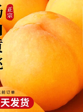 【只发顺丰】砀山黄桃！